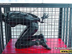 Fejira com A latex-clad slave in a cage like a dog